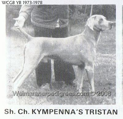 Image of Kympenna's Tristan