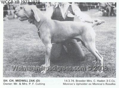 Image of Midwil Zak