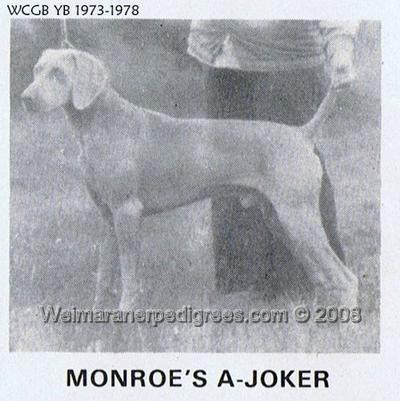 Image of Monroe's Ajoker