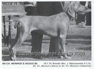 Image of Monroe's Aequo