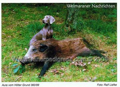 Image of Anna vom Holter Grund