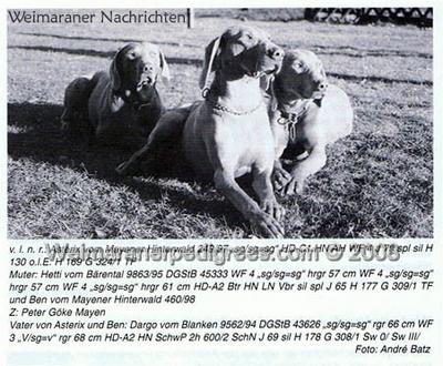 Image of Hetti vom Barental