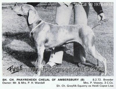 Image of Phayreheidi Chelal of Ambersbury