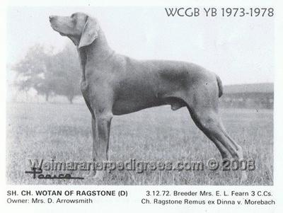 Image of Wotan of Ragstone