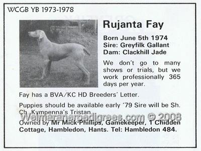 Image of Fay of Rujanta