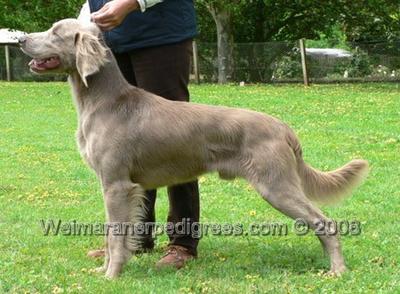 Image of Silverodhar Boy Ndoubt