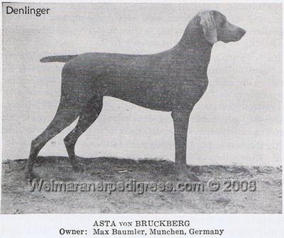 Image of Asta von Bruckberg