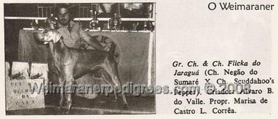 Image of Flicka do Jaragua