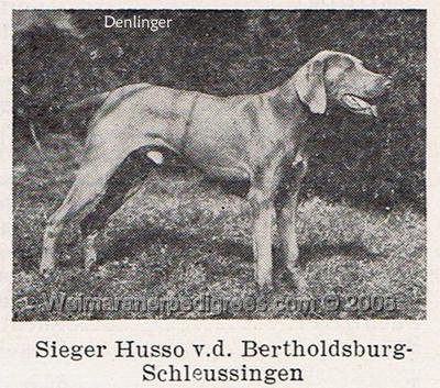 Image of Husso von der Bertholdsburg-Schleussingen