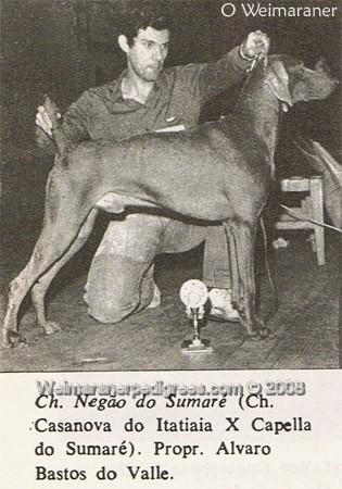 Image of Negao do Sumare