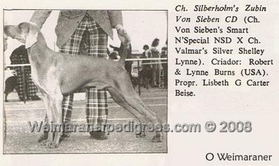 Image of Silberholm's Zubin von Sieben