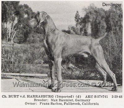 Image of Burt von der Harrasburg