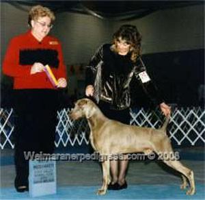 Image of Grea's Coast To Coast