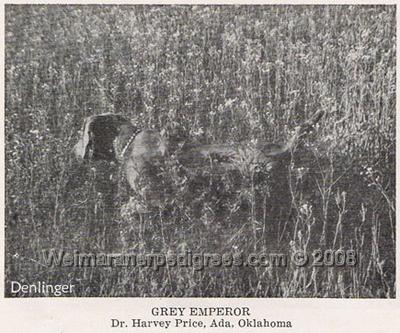 Image of Gray Emperor (Emperor of Okmar)