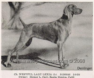 Image of Wistful Lady Lexia