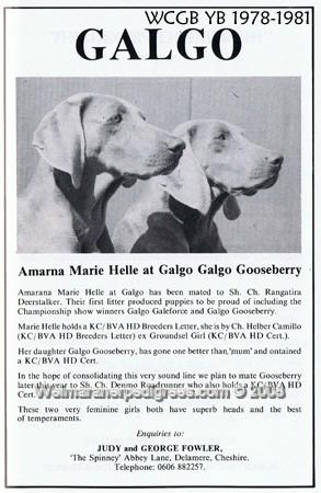 Image of Amarna Marie Helle at Galgo
