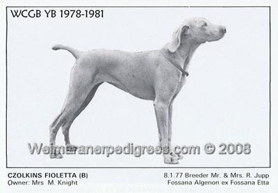 Image of Czolkins Fioletta