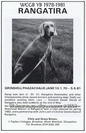 Image of Grinshill Phazachalie Jane