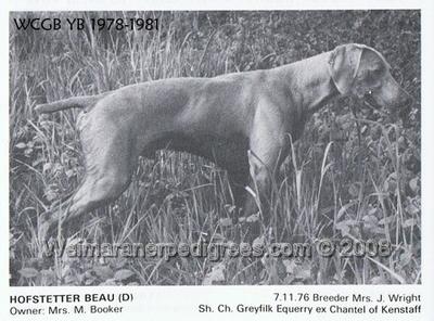 Image of Hofstetter Beau