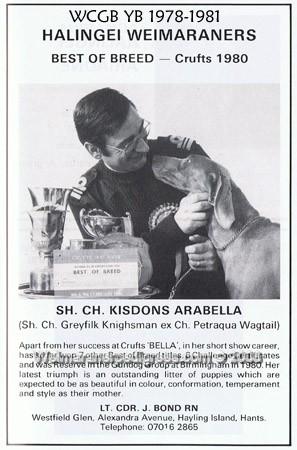 Image of Kisdon's Arabella