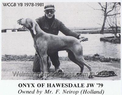 Image of Onyx of Hawsvale