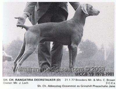 Image of Rangatira Deerstalker