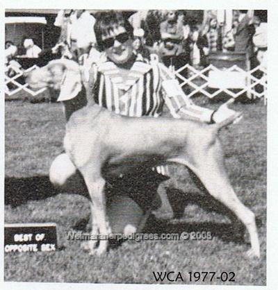 Image of Green Acres Moonlight Mystique