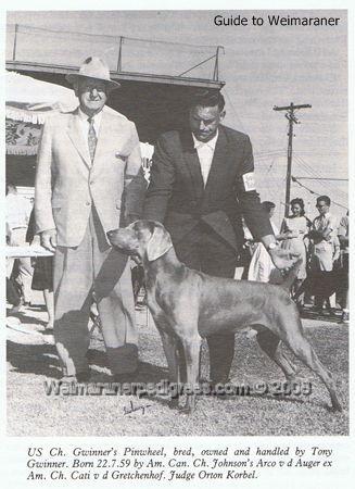 Image of Gwinner's Pinwheel