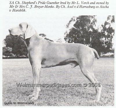 Image of Shepherd's Pride Guenther