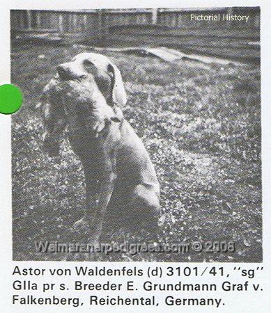 Image of Astor von Waldenfels