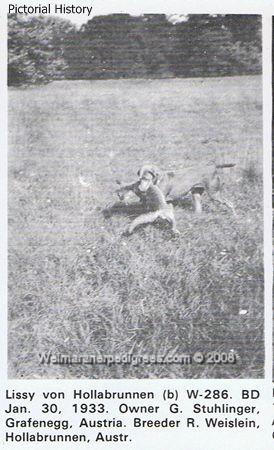 Image of Lissy von Hollabrunnen