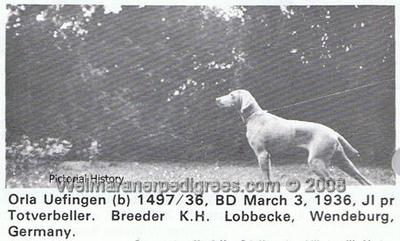 Image of Orla Uefingen