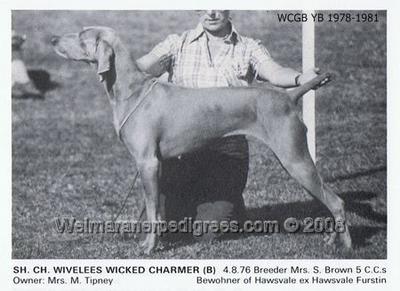 Image of Wivelees Wicked Charmer