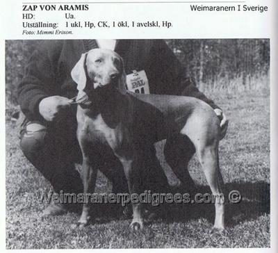 Image of Zap von Aramis