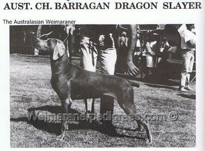 Image of Barragan Dragon Slayer