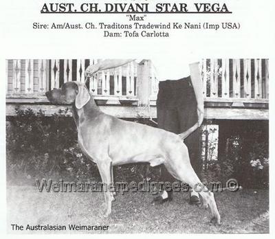 Image of Divani Star Vega