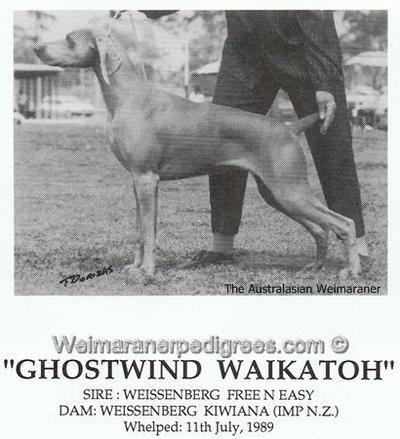 Image of Ghostwind Waikatoh