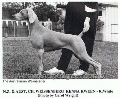 Image of Weissenberg Kenna Kween