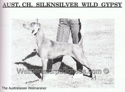 Image of Silknsilver Wild Gypsy