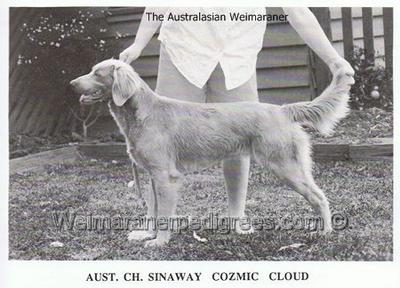 Image of Sinaway Cozmic Cloud