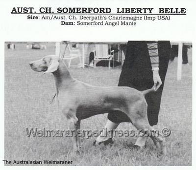 Image of Somerford Liberty Belle