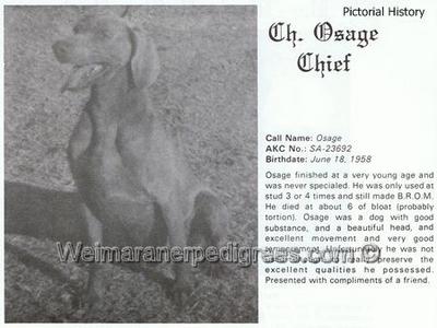 Image of Osage Chief