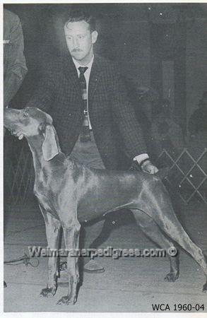 Image of Sheba von Roda