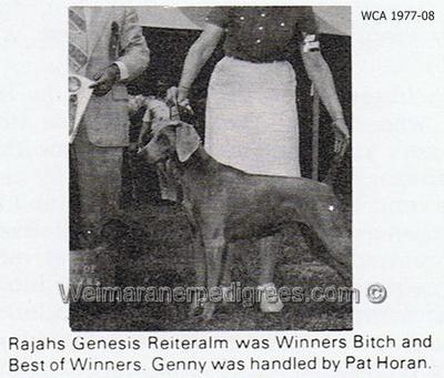 Image of Rajah's Genesis Reiteralm