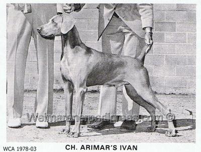 Image of Arimar's Ivan