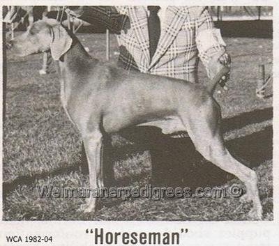 Image of WC's Comes The Horseman von Ranah