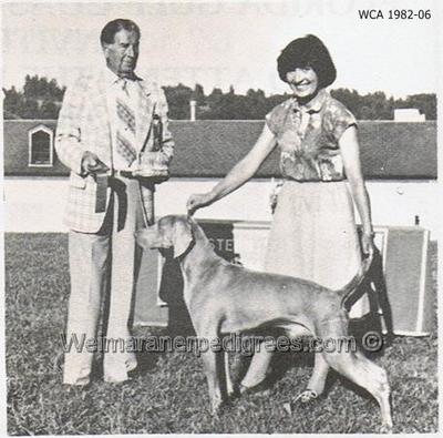 Image of Kristof's Country Stirn