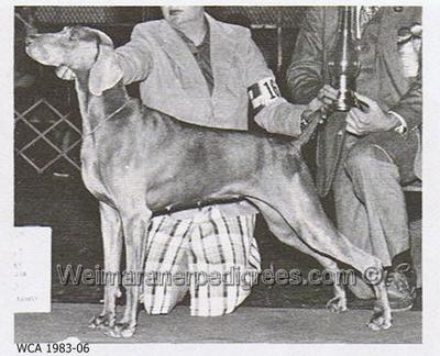 Image of Colsidex the Farms Act One