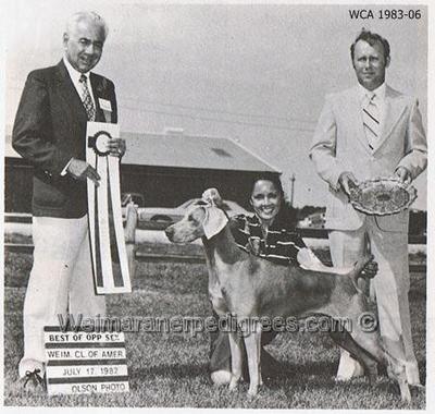 Image of Green Acres Cardi Carrousel