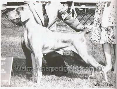 Image of Hoot Hollow's Foxfeather